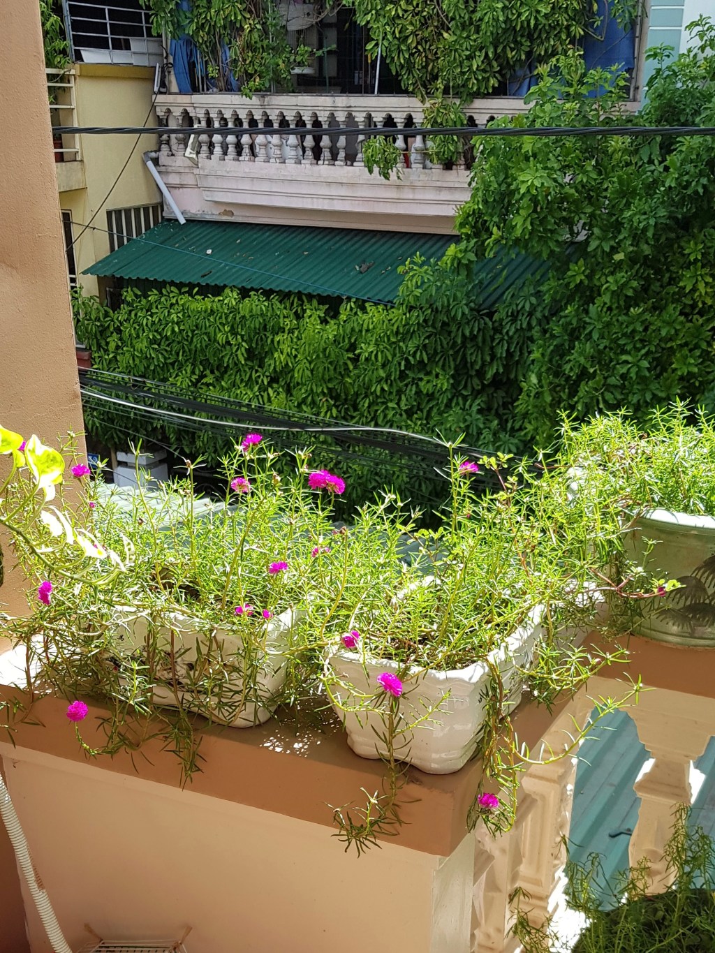 I don’t try to avoid conflicts&nbsp;anymore